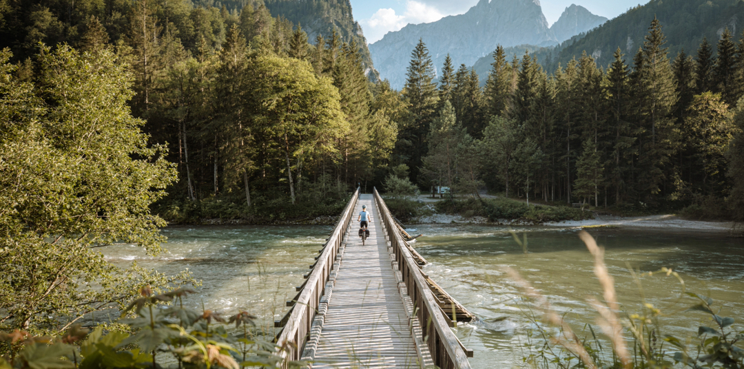 Off The Path / Sebastian Canaves