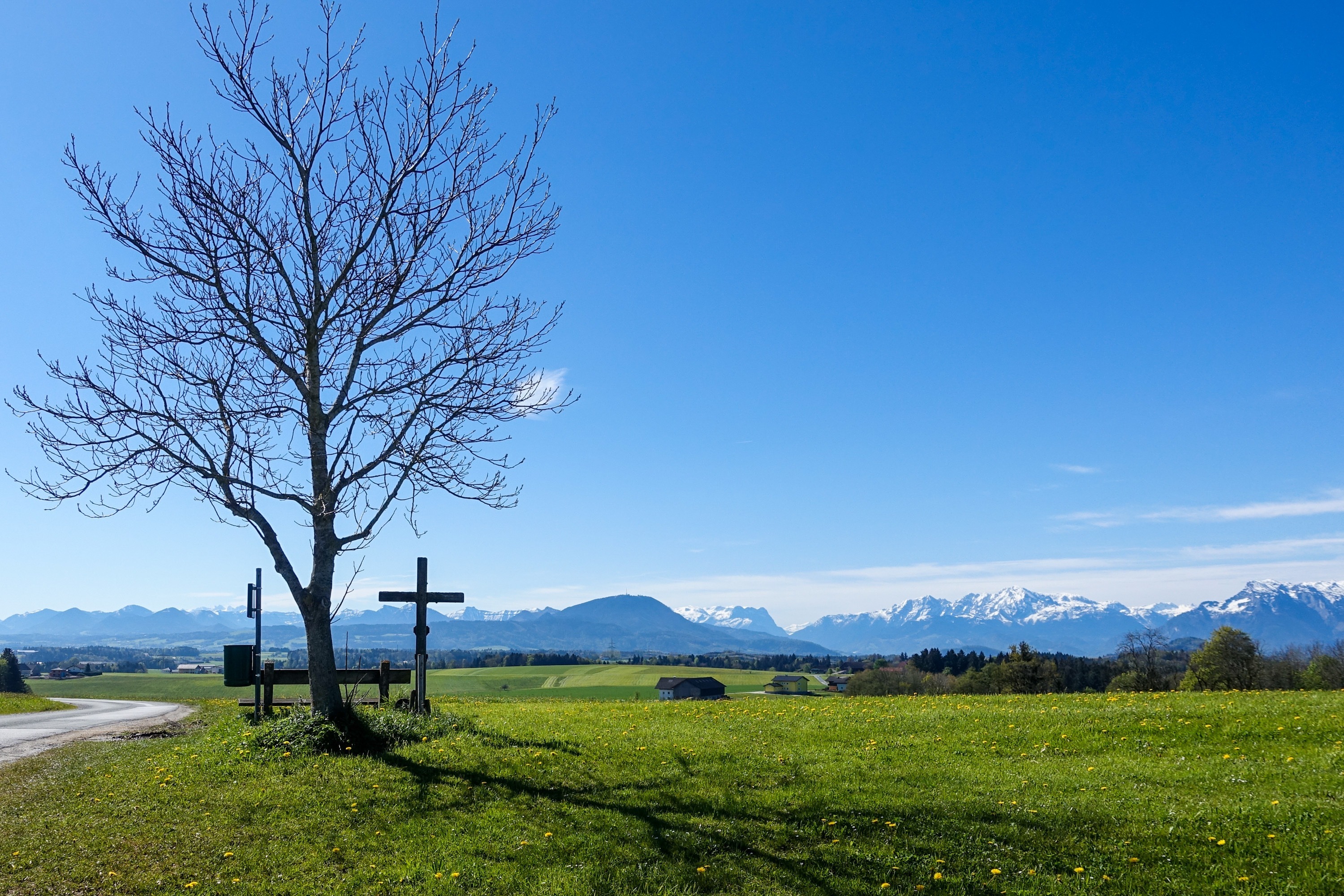 © Salzburger Seenland / Bernhard Seidl