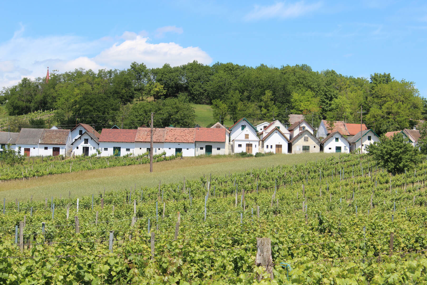 © Weinviertel Tourismus / Krönigsberger